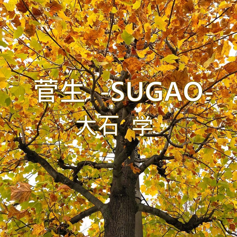  -SUGAO- [WAT-043]